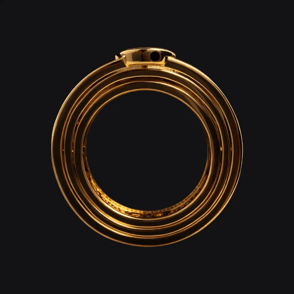 Elden Lord's Ring