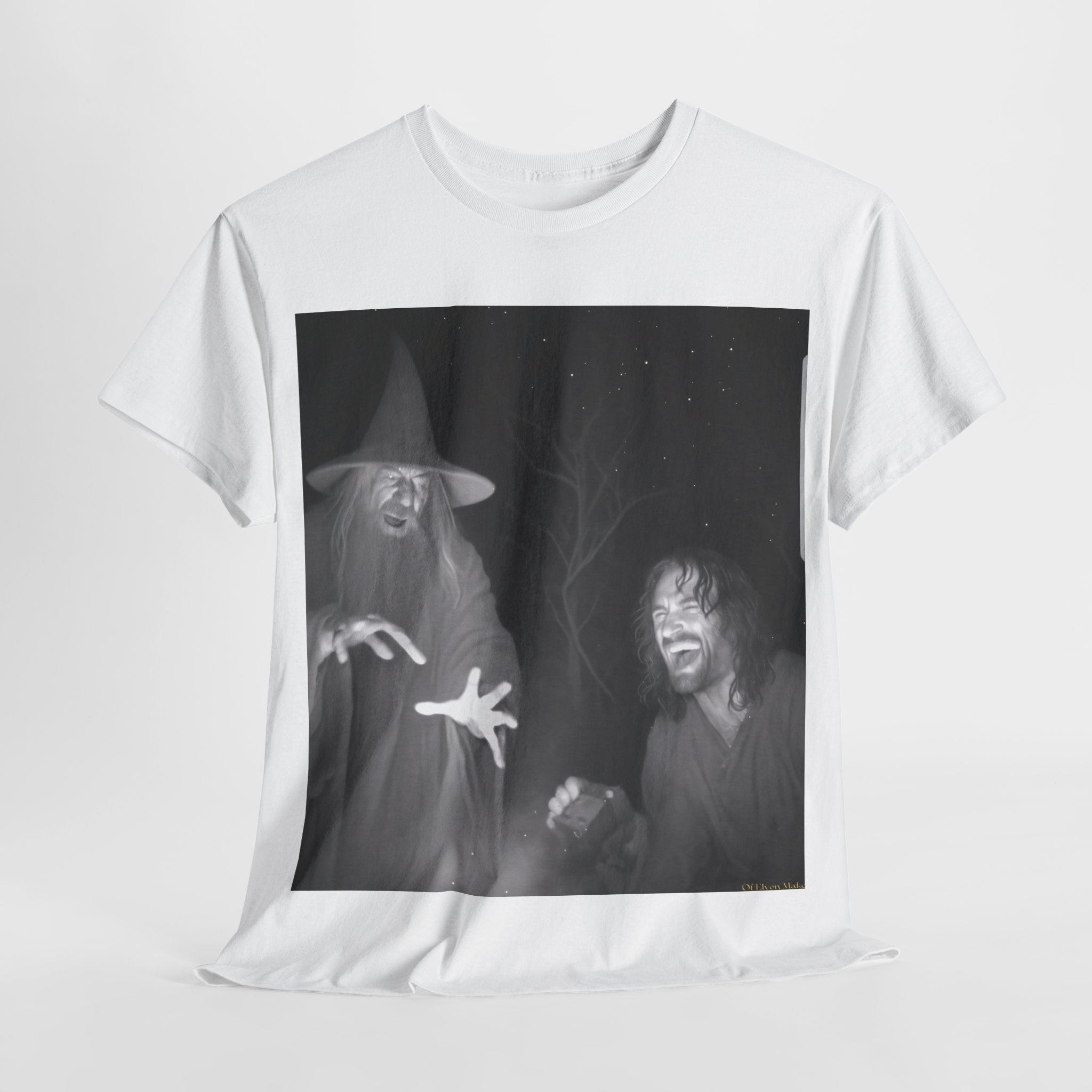 Gandalf and Aragorn Funny LoTR Shirt